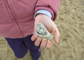 Beach School (9)